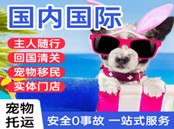 哈尔滨平房航空运输国际宠物托运 【国
